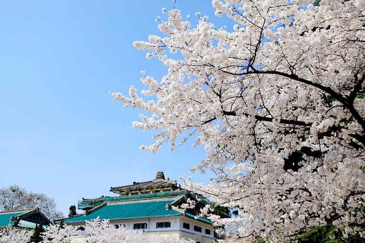 15vip太阳集团与武汉大学电子信息学院达成硕士联合培养合作